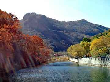 新澳天天开奖资料大全旅游团，速腾轮胎